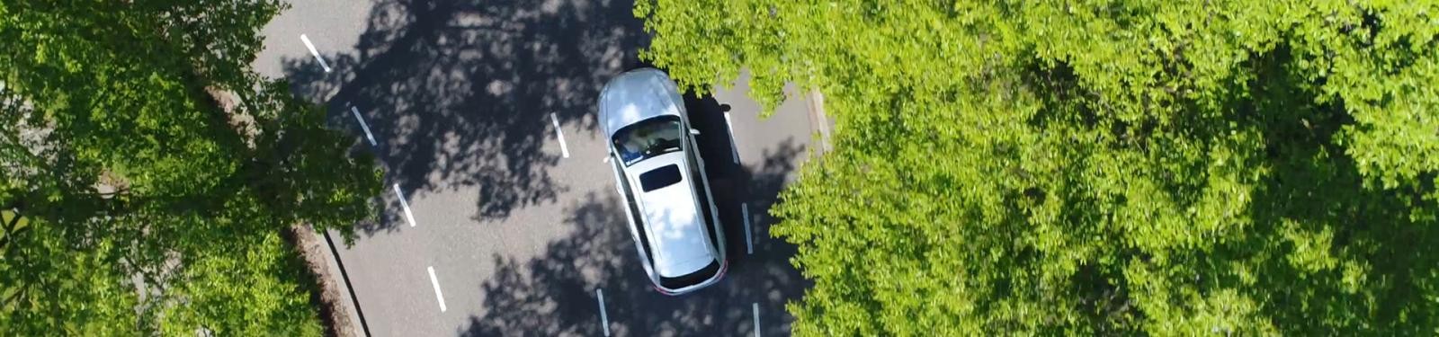 Selbstanlieferung Ein Auto fährt auf einer Straße. Am Straßenrand stehen grüne Bäume.