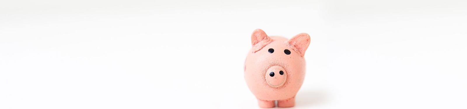 Gebührenmodell Ein rosa Schwein aus Ton vor weißem Hintergrund.