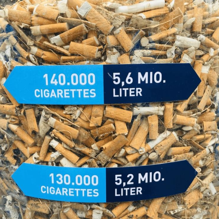 Rheinkippen Rhine Cleanup Rheinkippen Rhine Cleanup