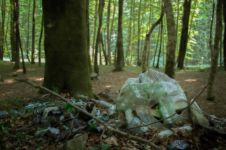 Wild entsorgter Müll liegt im Wald am Boden
